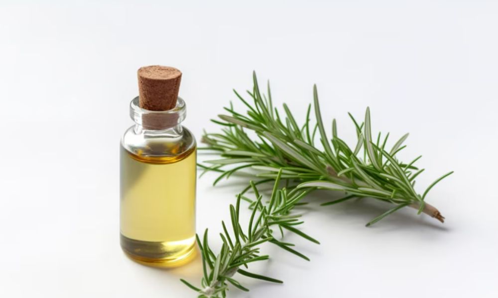 How To Make Rosemary Oil For Hair