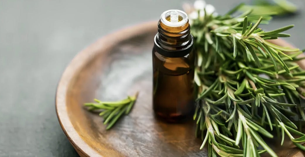 How To Use Rosemary Oil For Hair Growth?