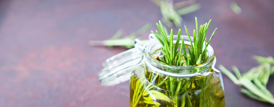 Is Rosemary Oil Good For Face