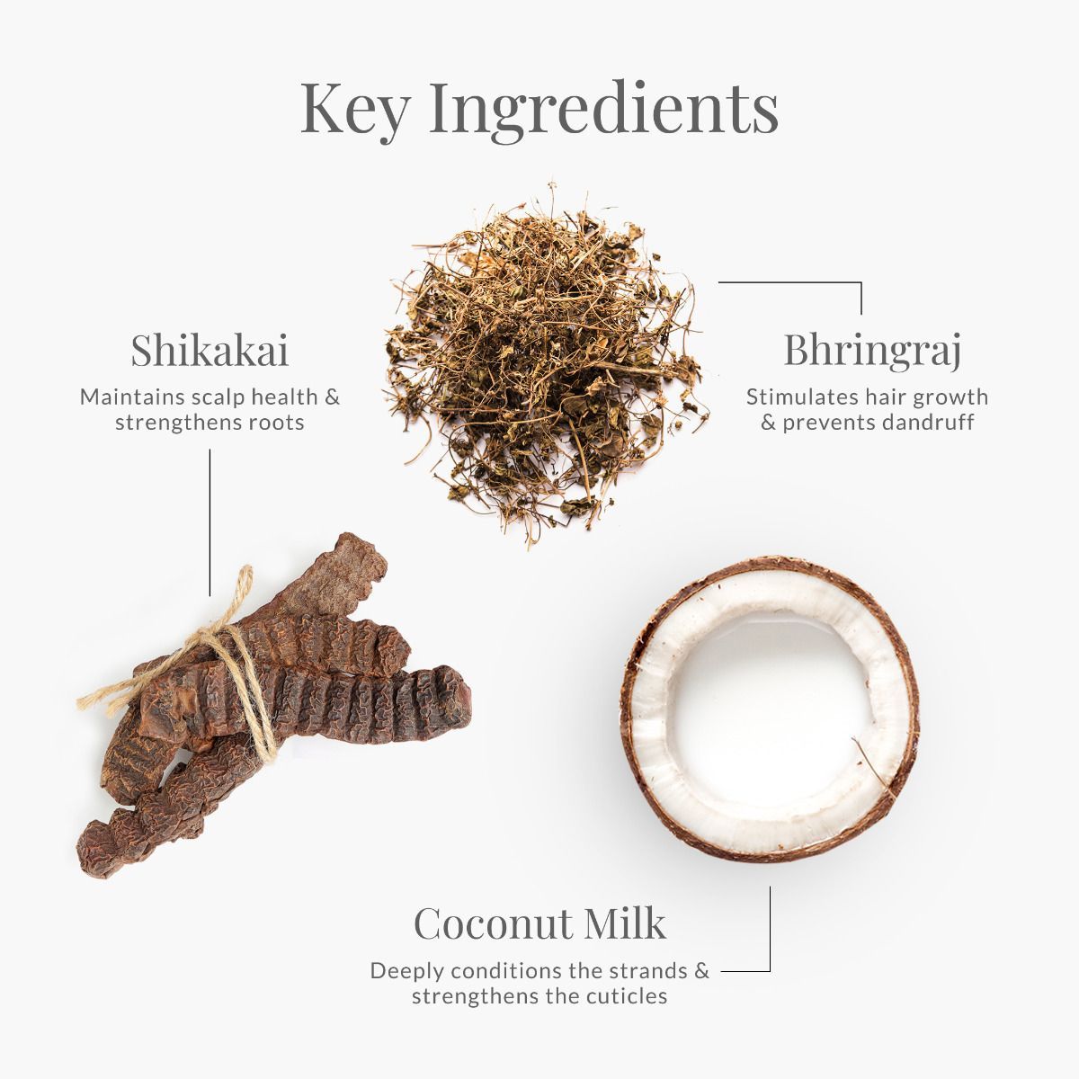 Nourishing Hair Conditioner Bhringraj and Shikakai - Forest Essentials