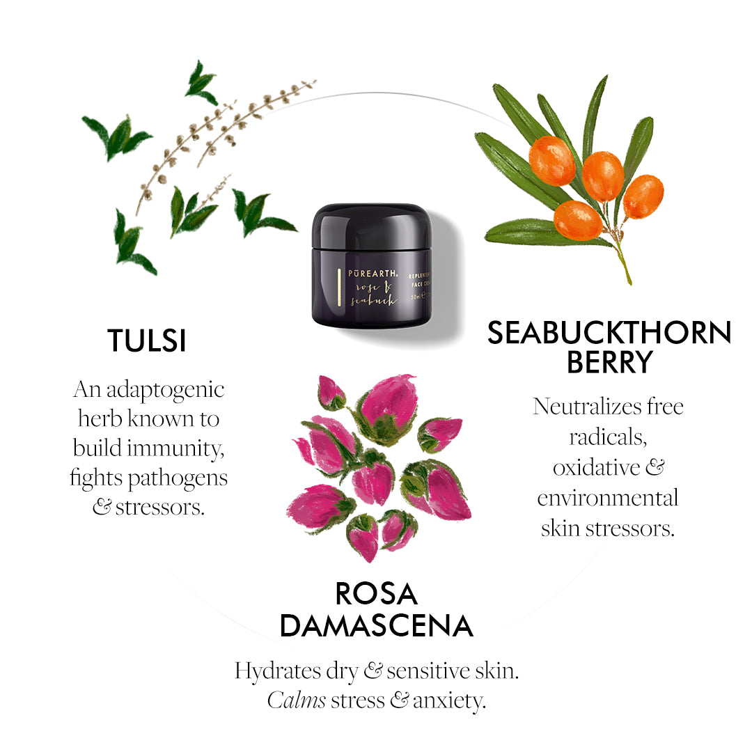 Rose & Seabuck Replenishing Face Cream - Purearth