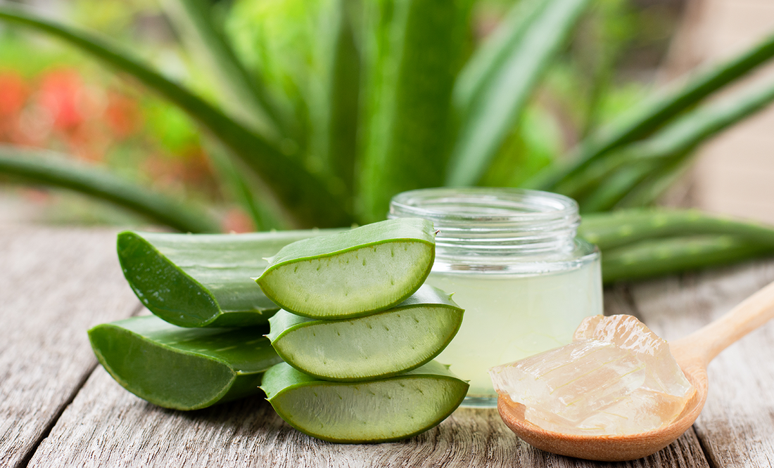 Aloe Vera for Skin: Amazing Benefits You Need to Know