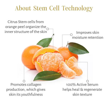 Timeless Restorative Skin Elixir - Shankara