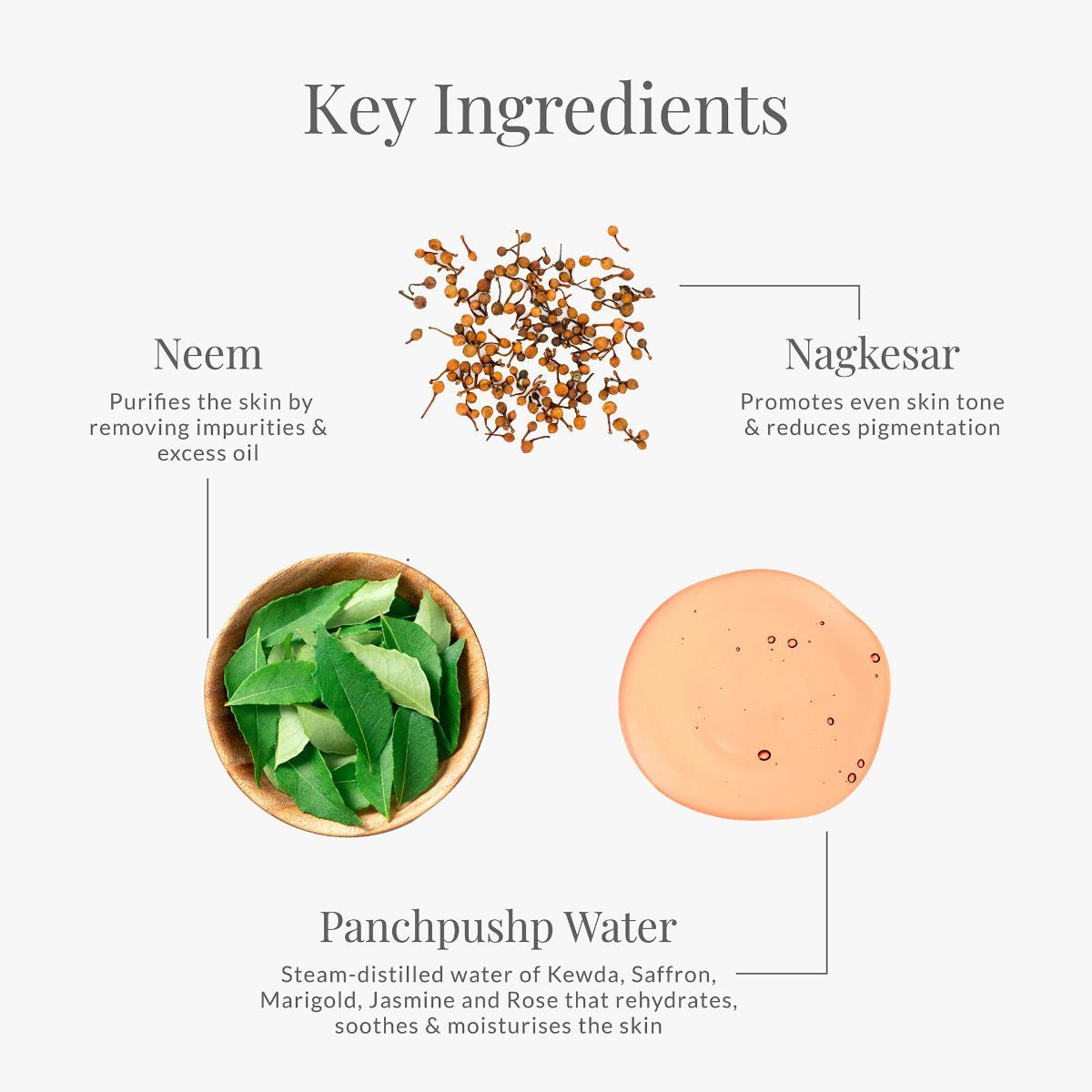 Purifying Facial Cleanser Kashmiri Saffron & Neem - Forest Essentials
