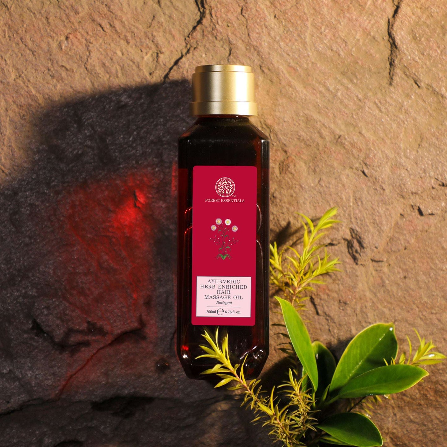 Ayurvedic head massage oil forest essentials