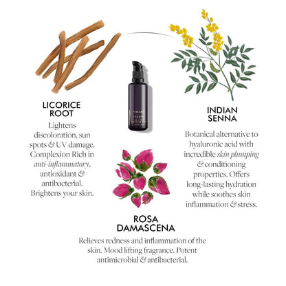 Ingredients - Vitamin C Serum
